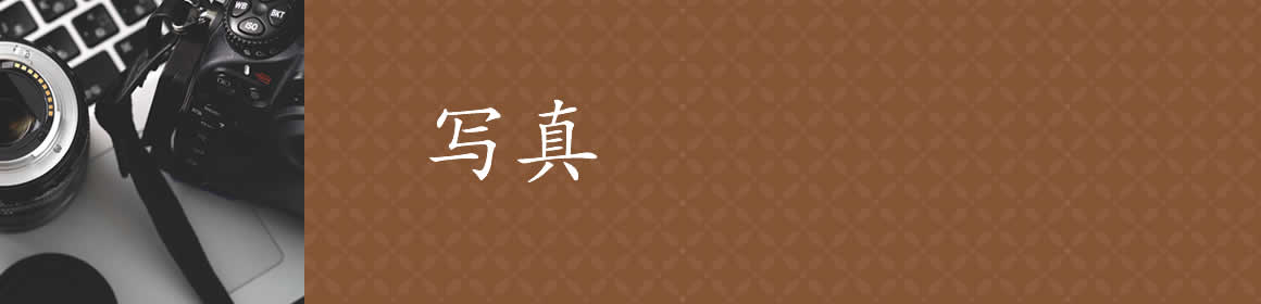 結婚式の写真